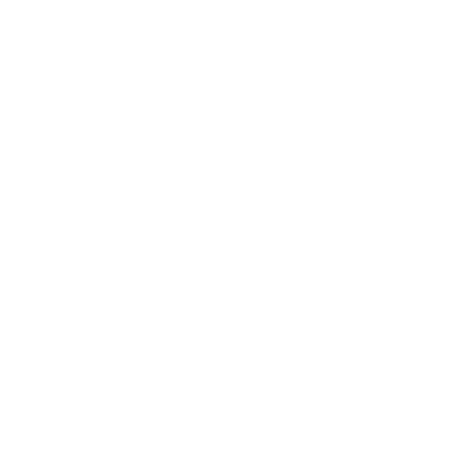 Icone Insta